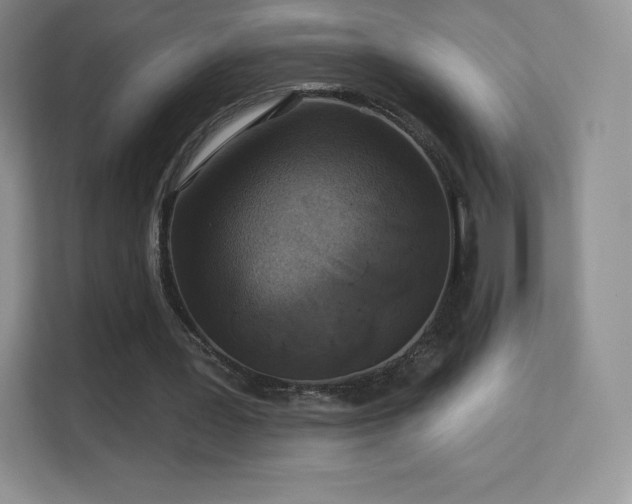 X0000113550387200909251042