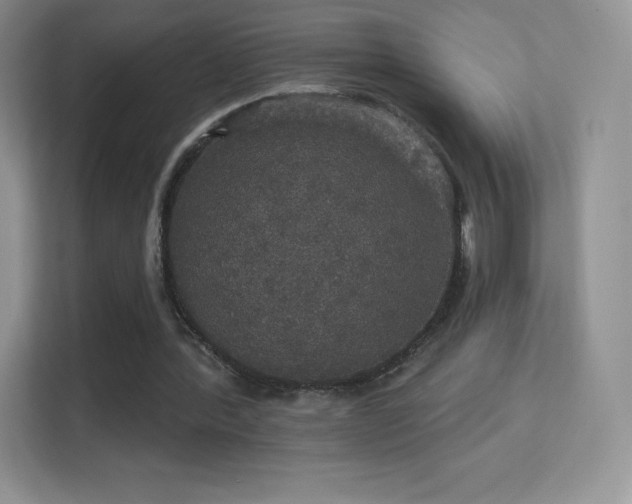 X0000113550388200909251042