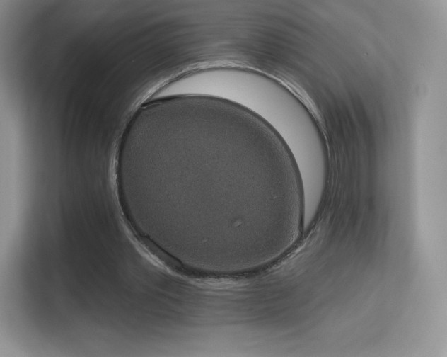 X0000113550389200909251042