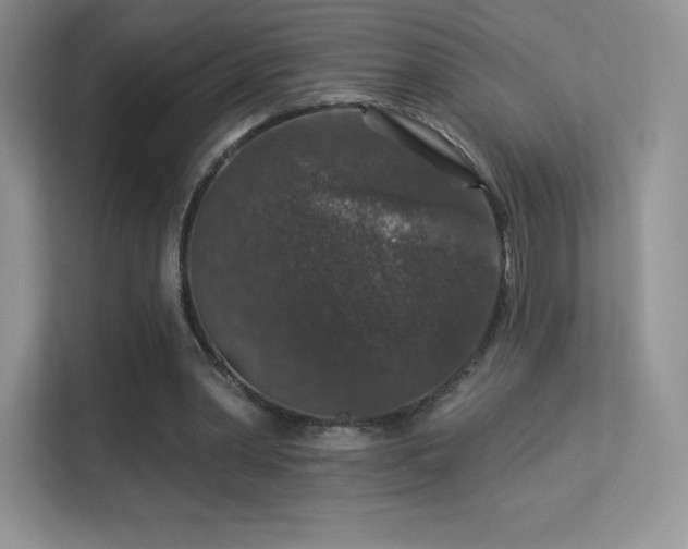 X0000113550390200909251042