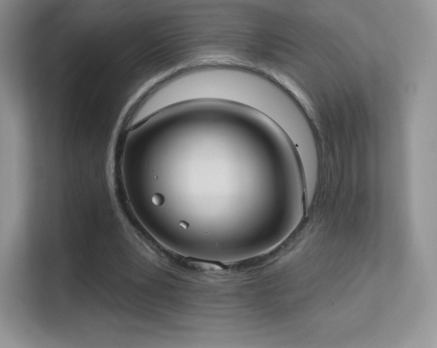 X0000113550391200909251042