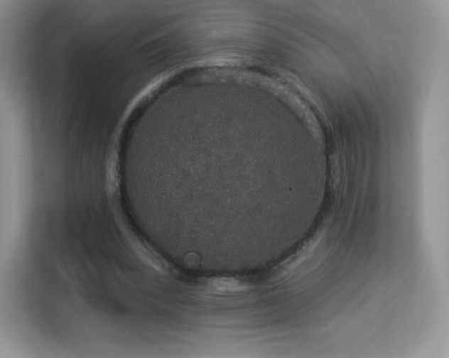 X0000113550392200909251042