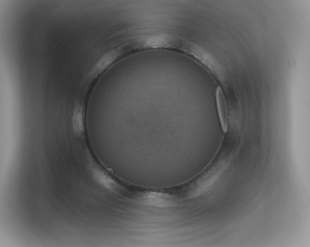 X0000113550393200909251042