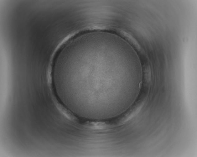 X0000113550395200909251042