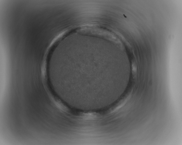 X0000113550396200909251042