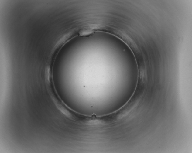 X0000113550397200909251042