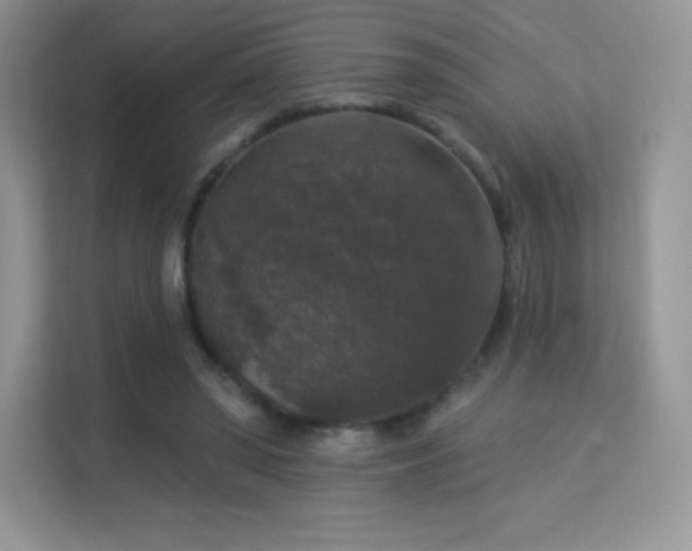 X0000113550398200909251042