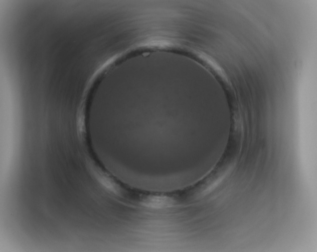 X0000113550399200909251042