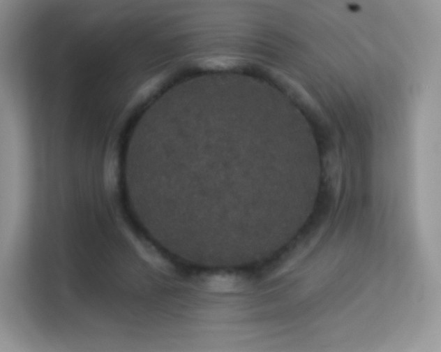 X0000113550400200909251042