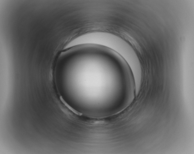 X0000113550401200909251042