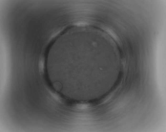 X0000113550404200909251042