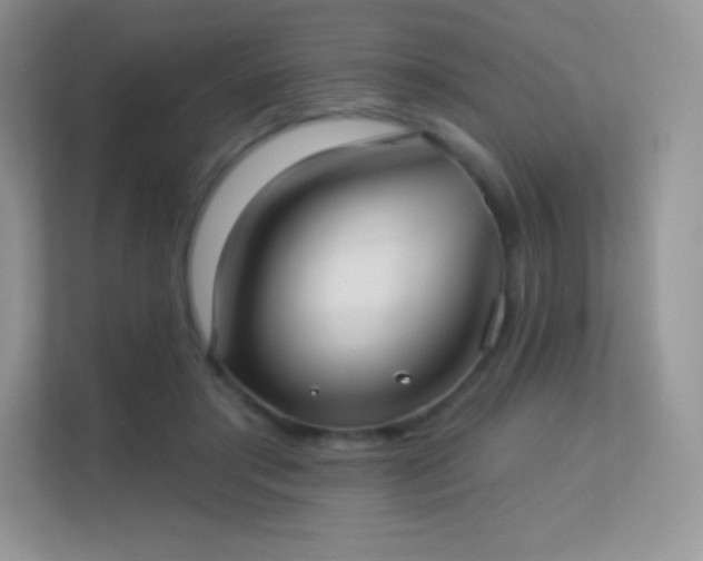 X0000113550405200909251042