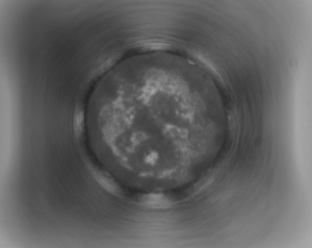 X0000113550406200909251042