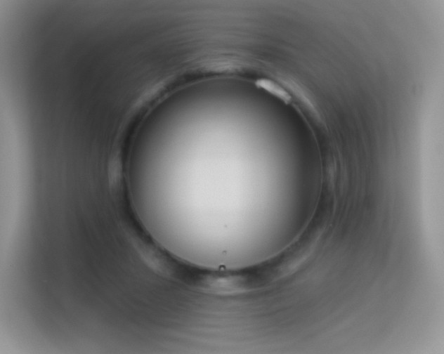 X0000113550407200909251042