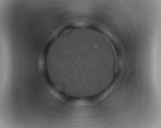 X0000113550408200909251042