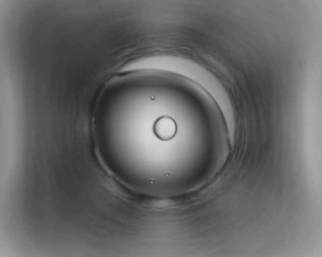 X0000113550409200909251042