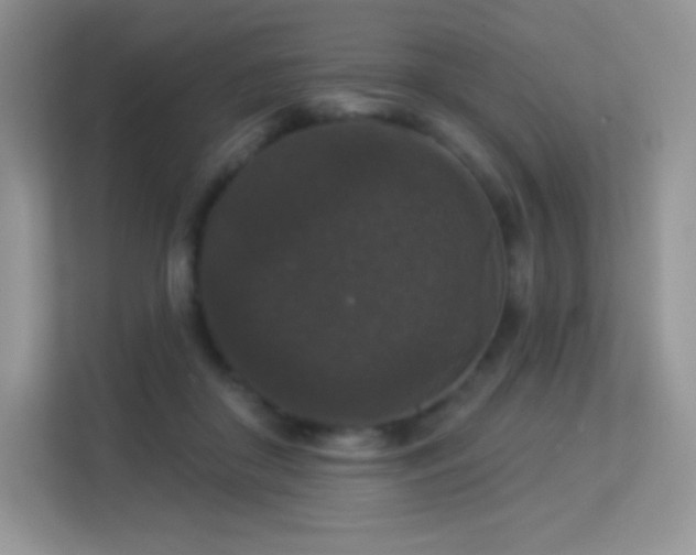 X0000113550410200909251042