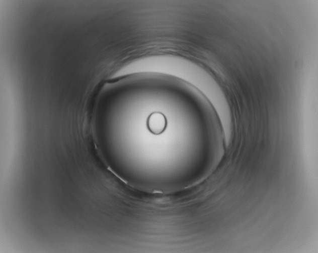 X0000113550411200909251042