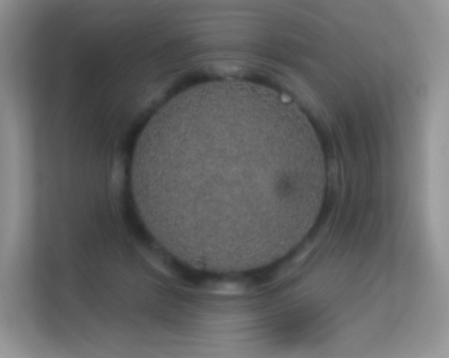 X0000113550412200909251042