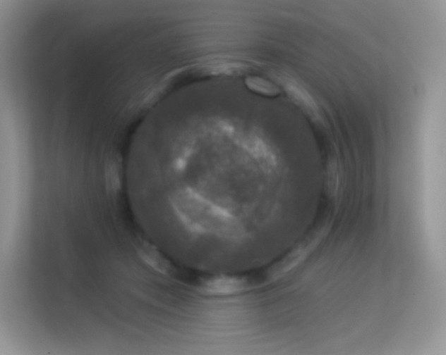 X0000113550413200909251042