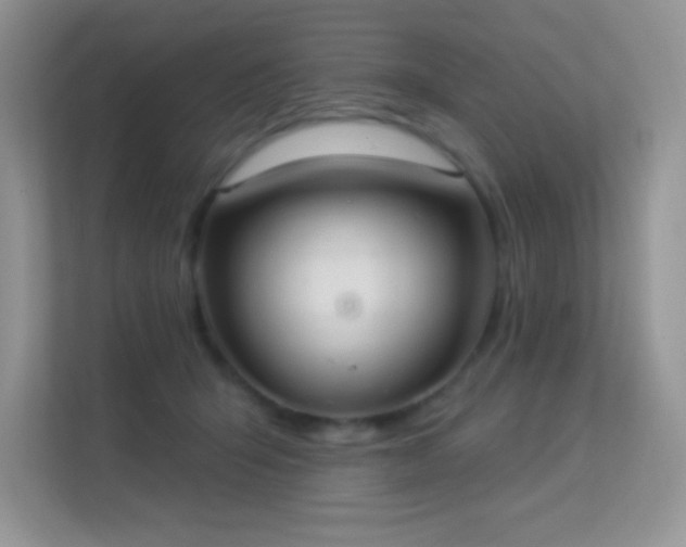 X0000113550415200909251042