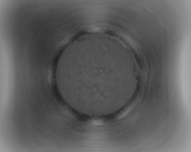 X0000113550416200909251042