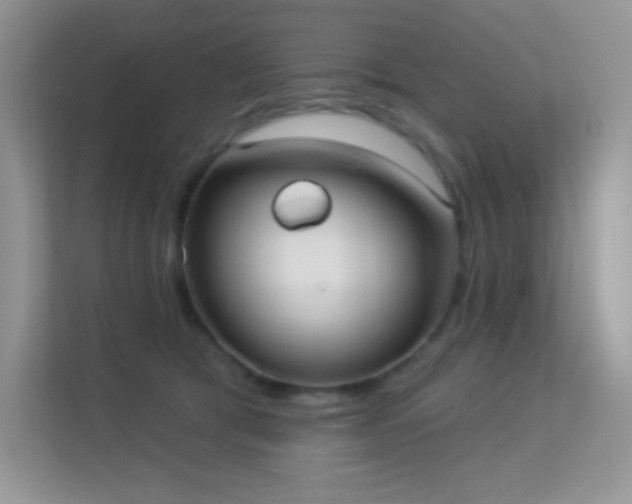 X0000113550417200909251042