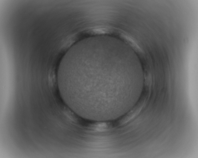 X0000113550418200909251042