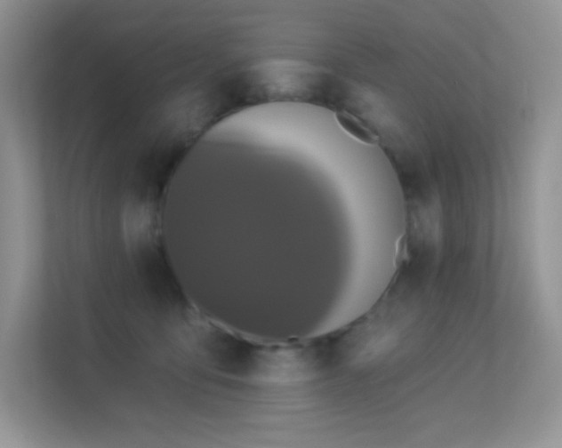 X0000113550419200909251042