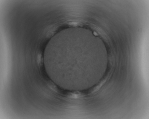 X0000113550420200909251042