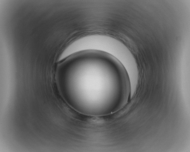 X0000113550421200909251042