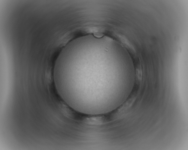 X0000113550422200909251042