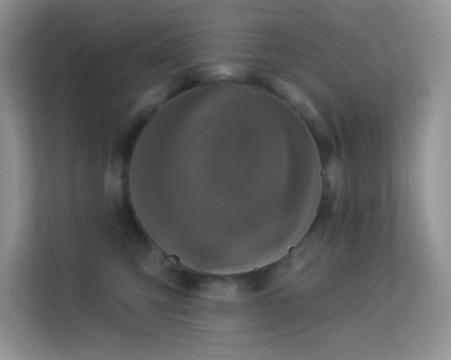 X0000113550423200909251042