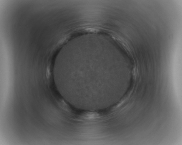 X0000113550424200909251042