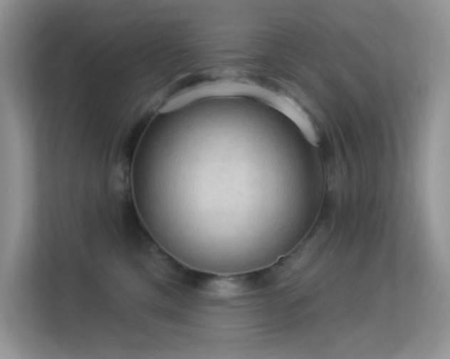 X0000113550425200909251042