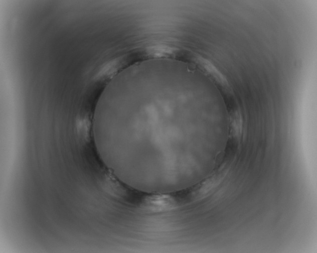 X0000113550427200909251042