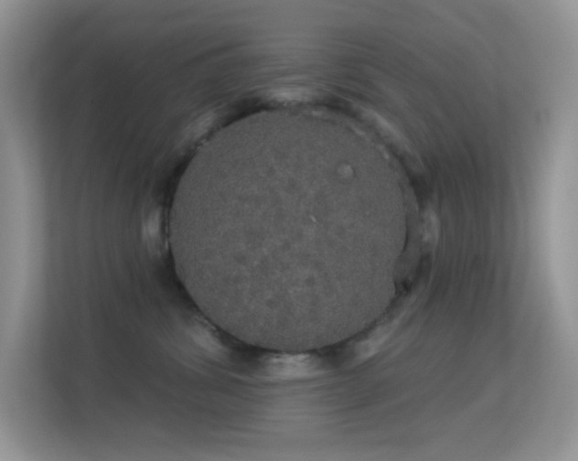 X0000113550428200909251042