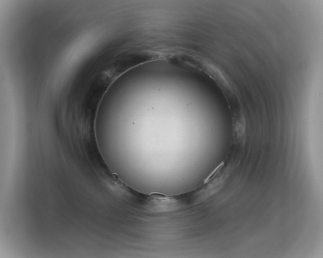 X0000113550429200909251042