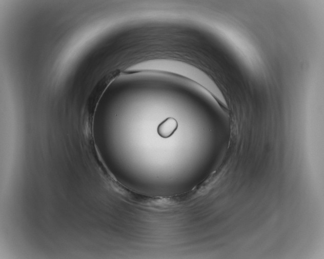 X0000113550431200909251042