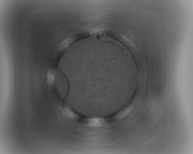 X0000113550432200909251041