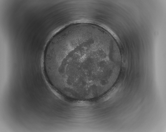 X0000113550437200909251041