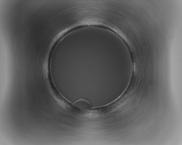 X0000113550438200909251041