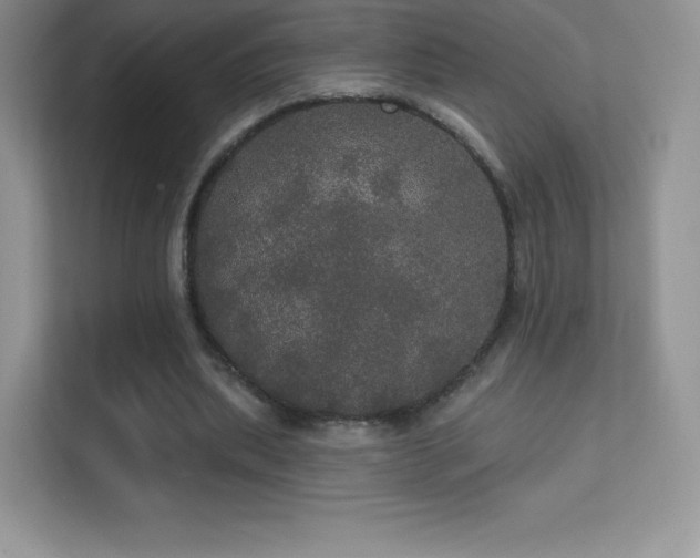 X0000113550439200909251041