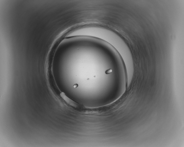 X0000113550440200909251041