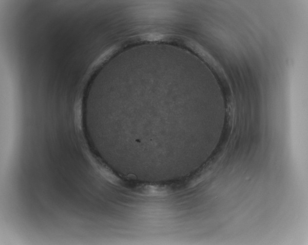 X0000113550442200909251041