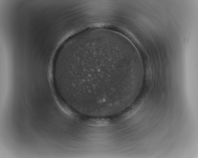 X0000113550443200909251041