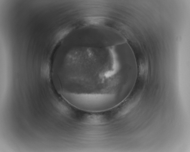 X0000113550444200909251041