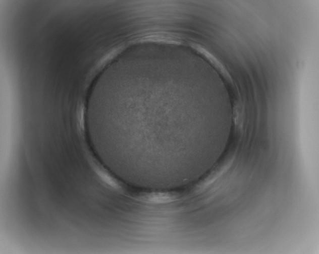 X0000113550445200909251041