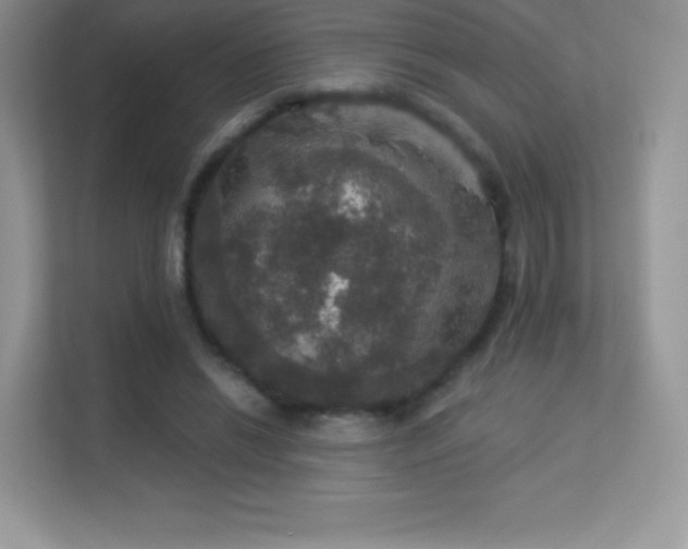 X0000113550446200909251041