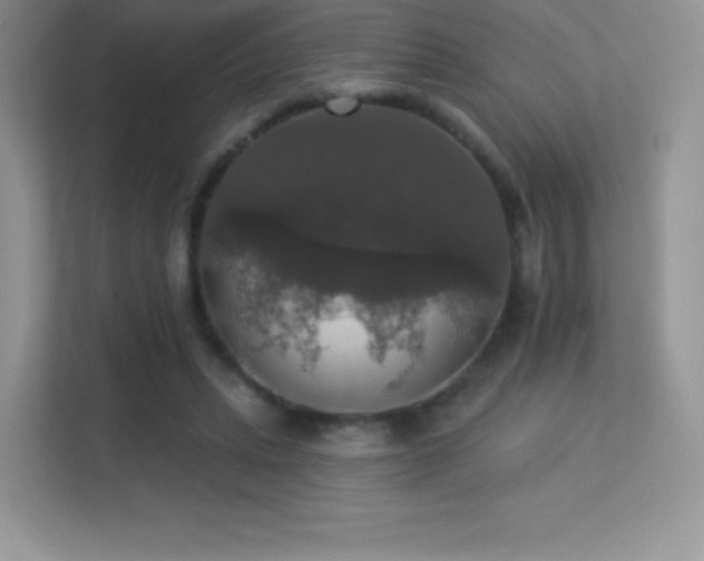 X0000113550447200909251041